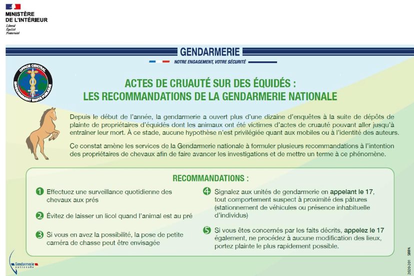 Recommandations-equides