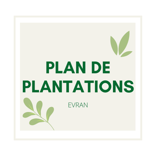 Plan de plantations Evran