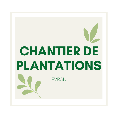 cHANTIER DE PLANTATION EVRAN