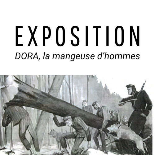 Exposition Evran